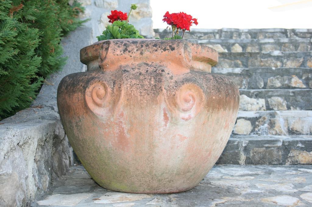 Casa Oasa -Accommodation , Pizzeria & Bar Marezige Εξωτερικό φωτογραφία