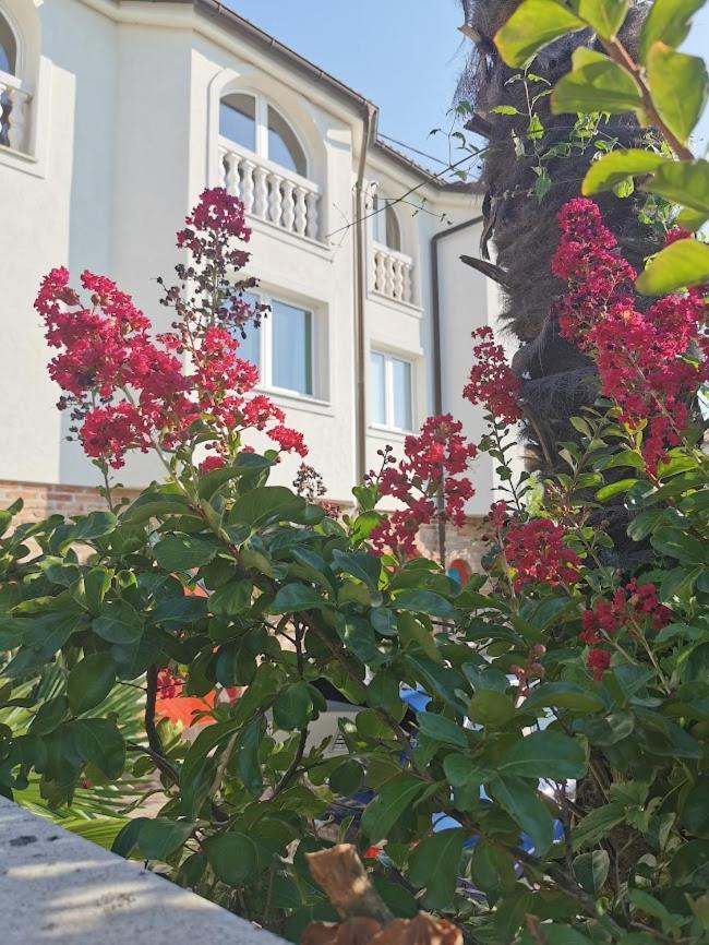 Casa Oasa -Accommodation , Pizzeria & Bar Marezige Εξωτερικό φωτογραφία